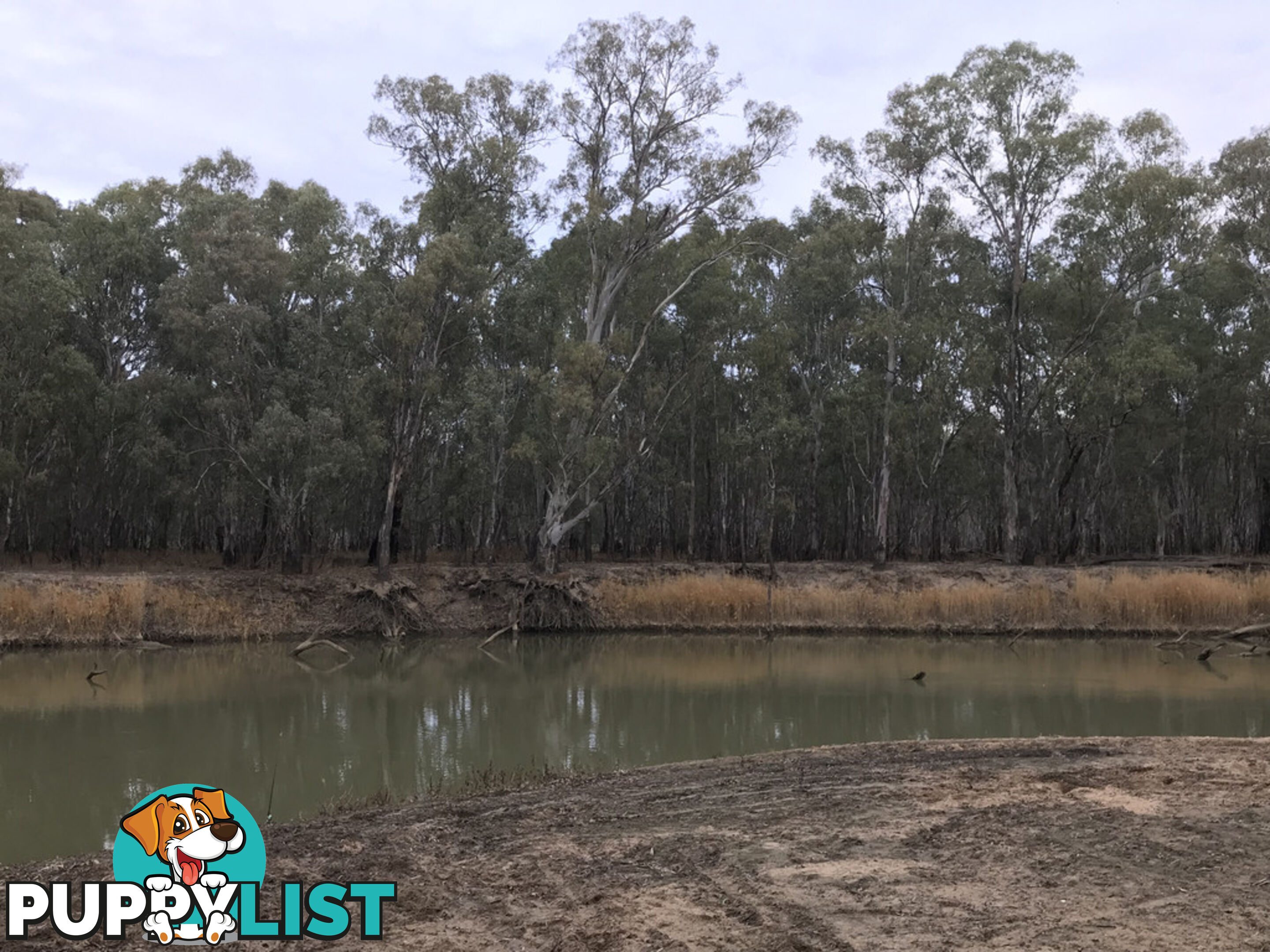 14 Brooks Crescent DARLINGTON POINT NSW 2706
