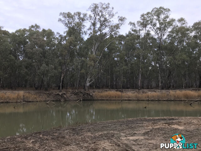 14 Brooks Crescent DARLINGTON POINT NSW 2706