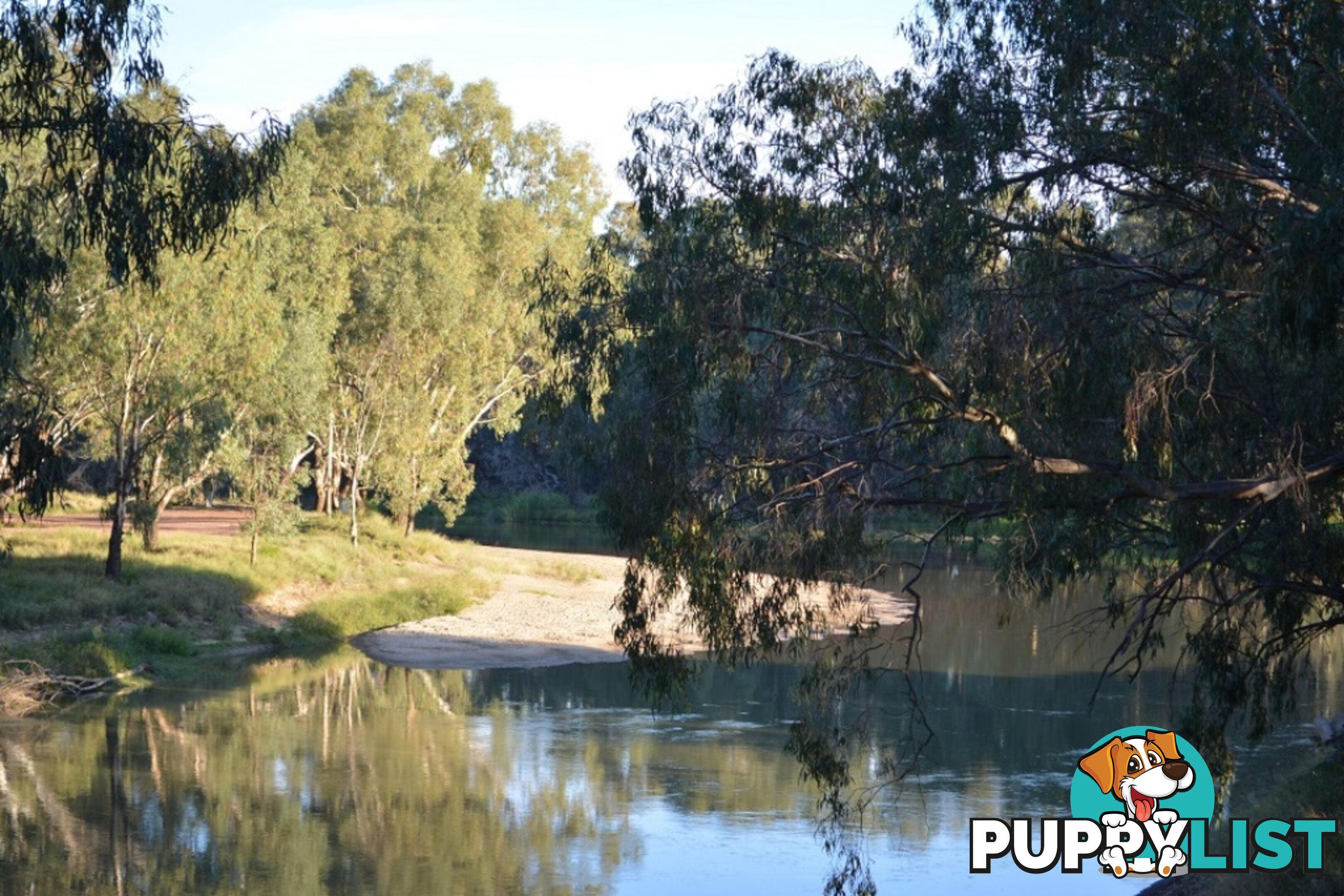 14 Brooks Crescent DARLINGTON POINT NSW 2706