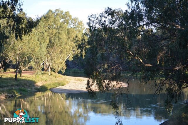 14 Brooks Crescent DARLINGTON POINT NSW 2706