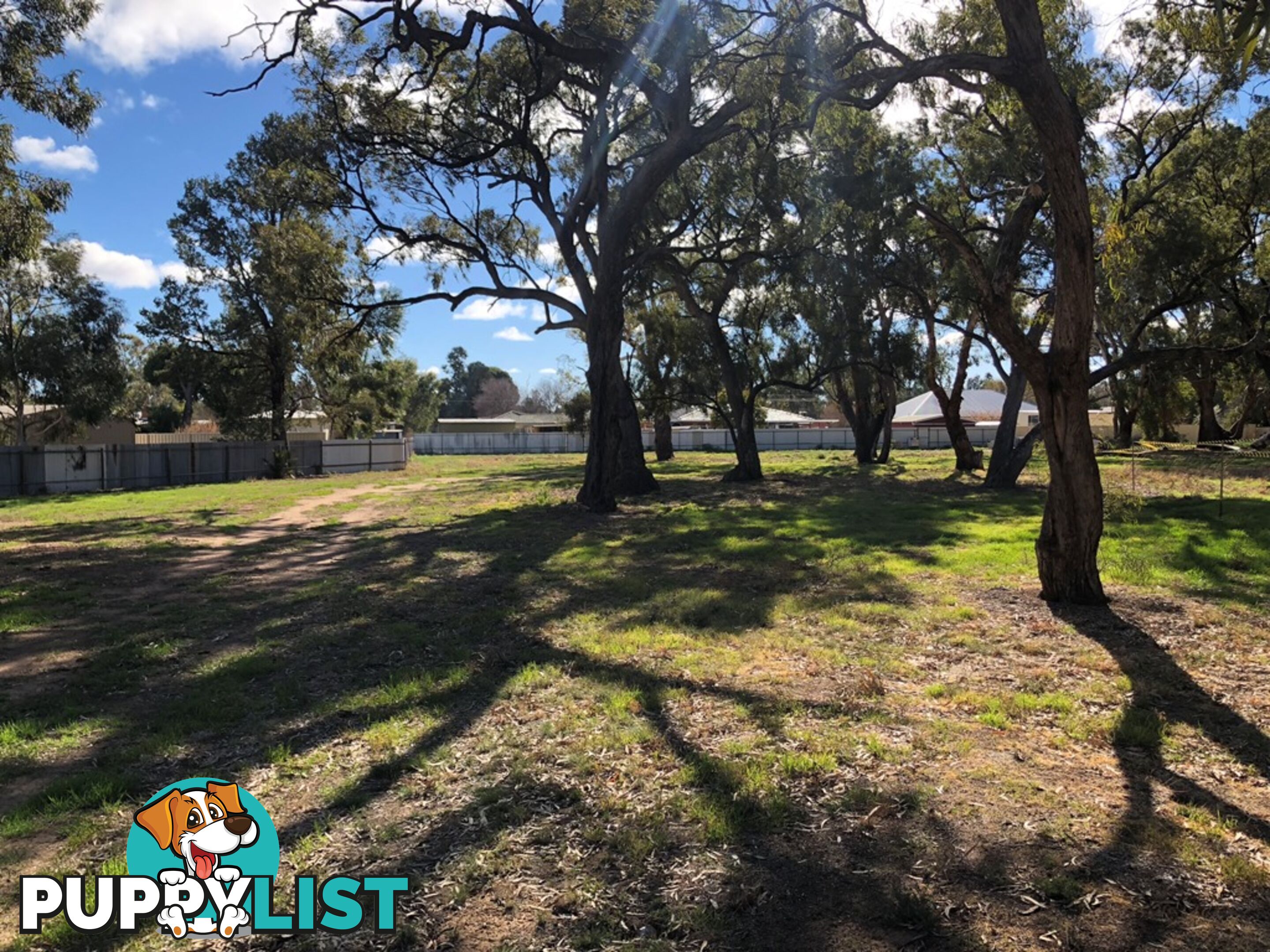 14 Brooks Crescent DARLINGTON POINT NSW 2706