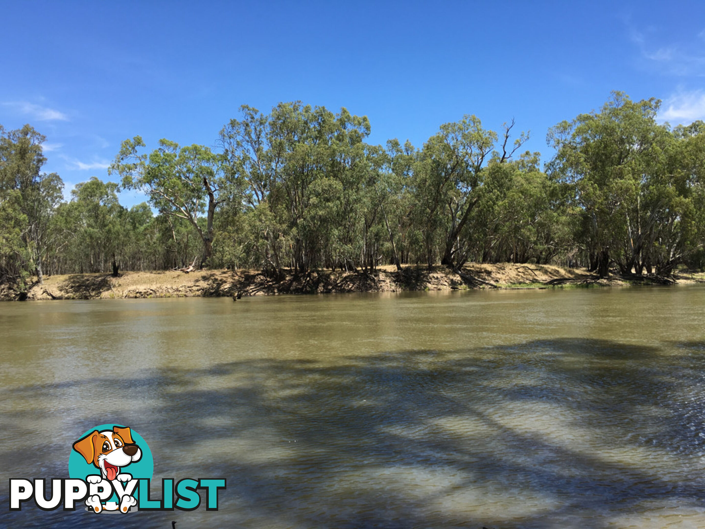 14 Brooks Crescent DARLINGTON POINT NSW 2706