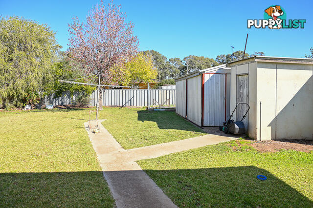 3 Russet Street LEETON NSW 2705