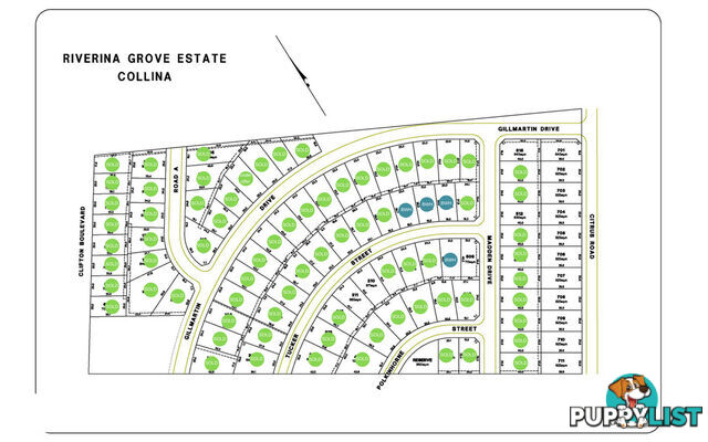 Lot 210 Riverina Grove GRIFFITH NSW 2680