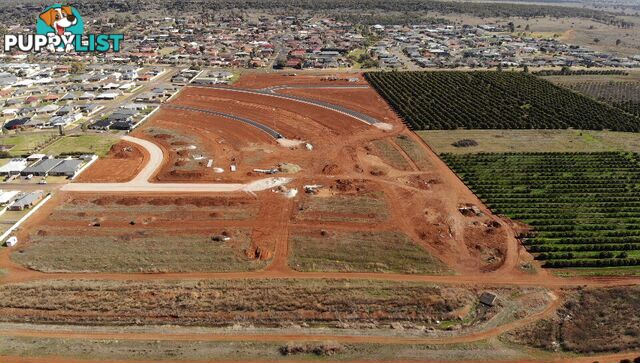 Lot 210 Riverina Grove GRIFFITH NSW 2680