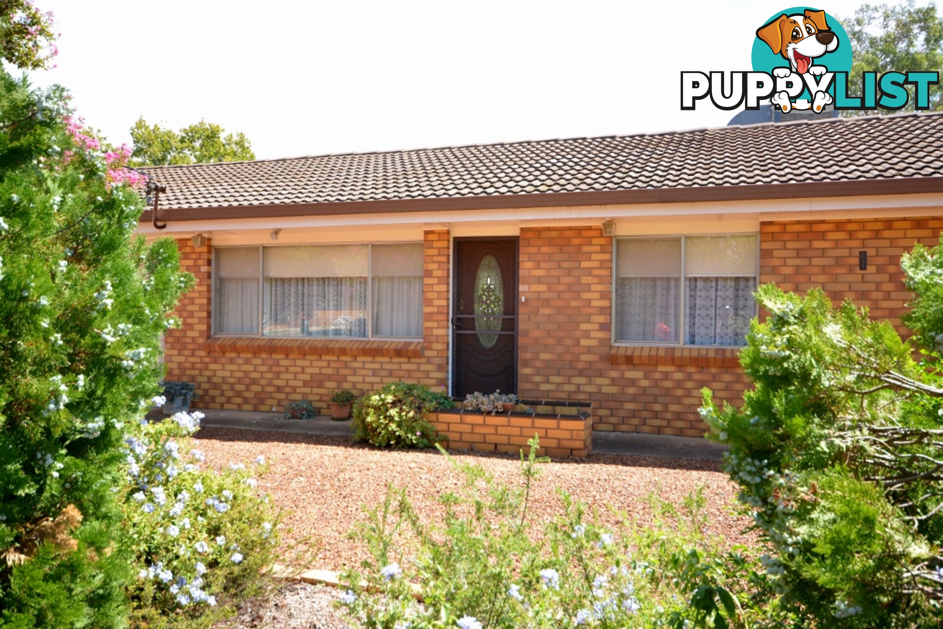 1 Moses Street GRIFFITH NSW 2680