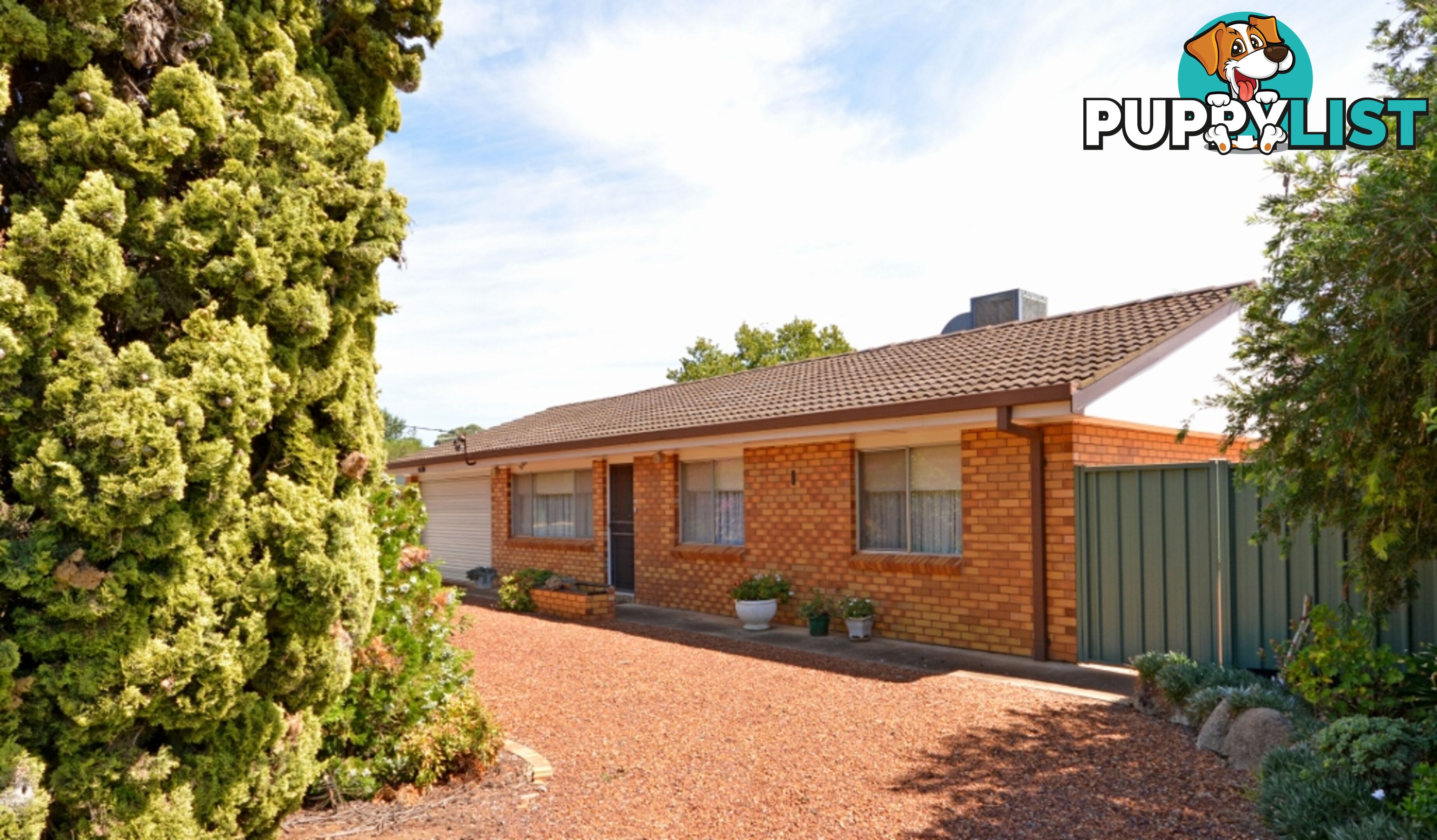 1 Moses Street GRIFFITH NSW 2680