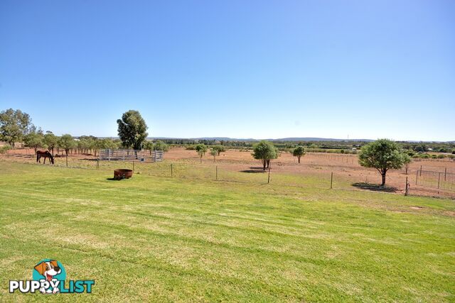 11 Qualitary Rd LEETON NSW 2705