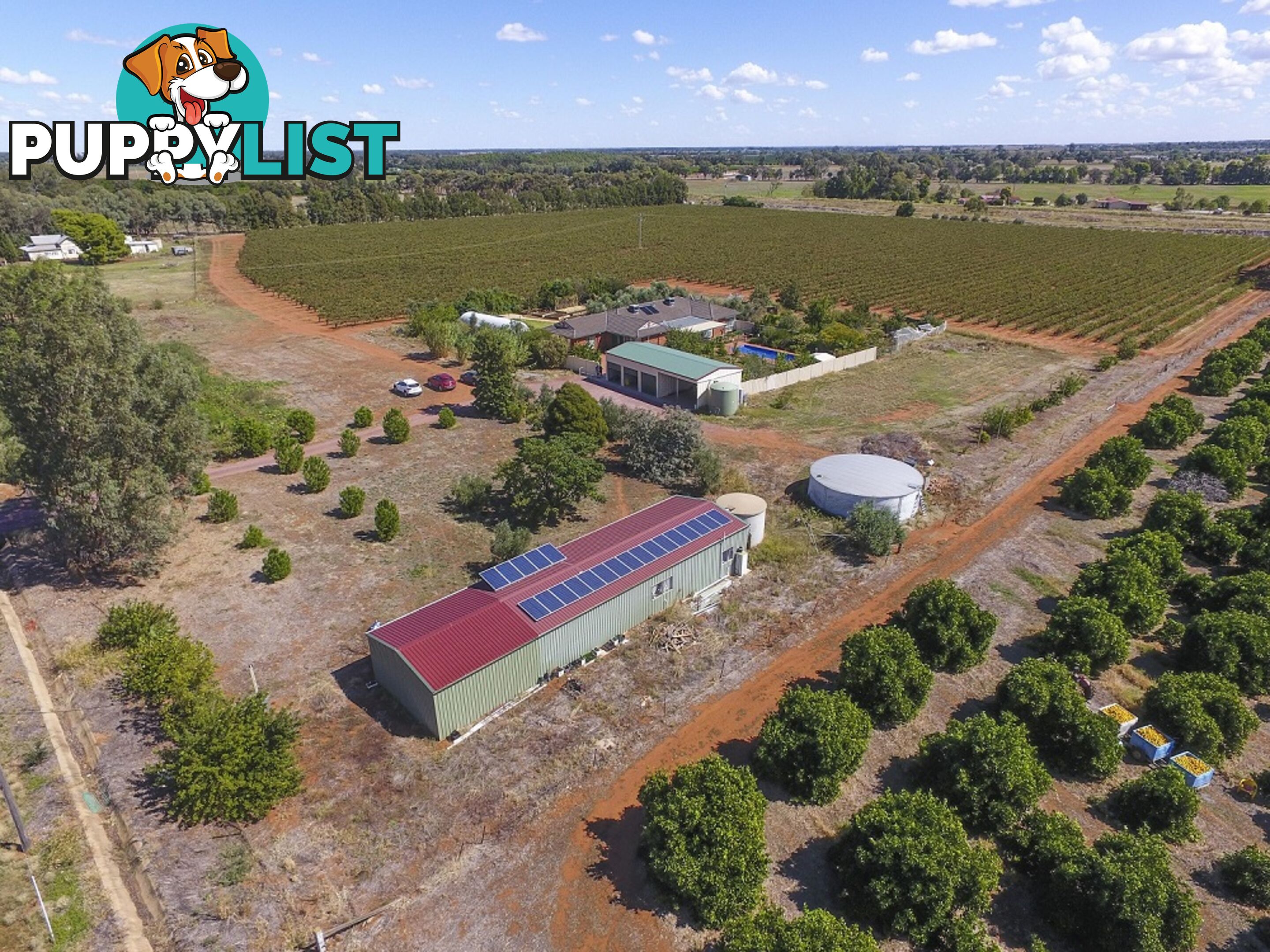 374 Stringer Rd LEETON NSW 2705