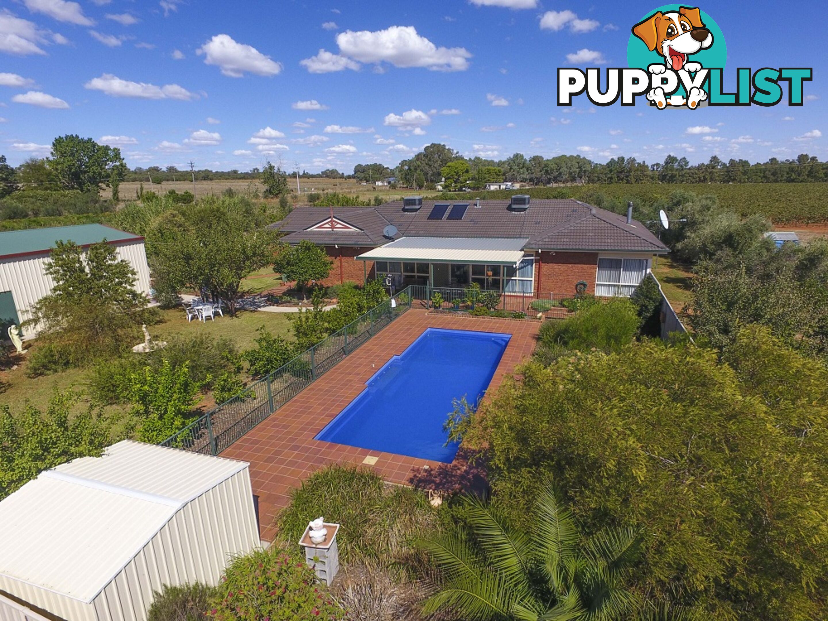 374 Stringer Rd LEETON NSW 2705