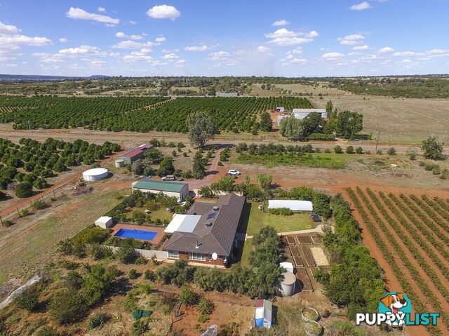 374 Stringer Rd LEETON NSW 2705