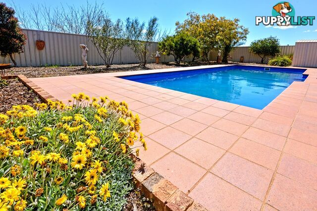 374 Stringer Rd LEETON NSW 2705