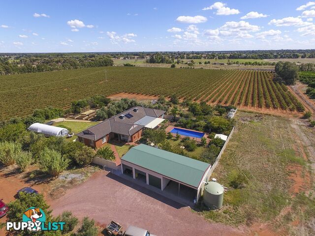 374 Stringer Rd LEETON NSW 2705