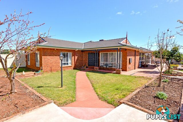 374 Stringer Rd LEETON NSW 2705