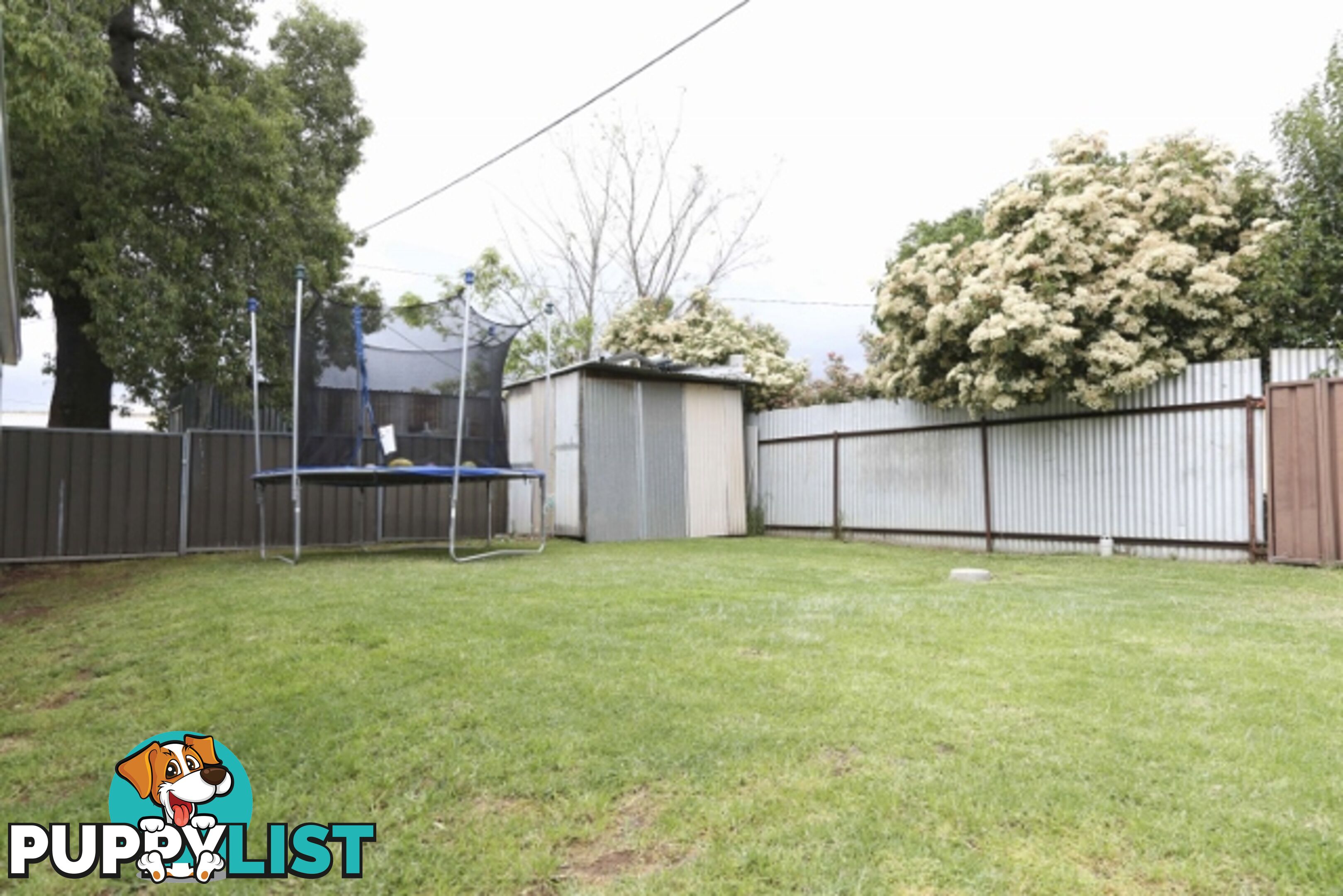 16 Yanco Avenue LEETON NSW 2705