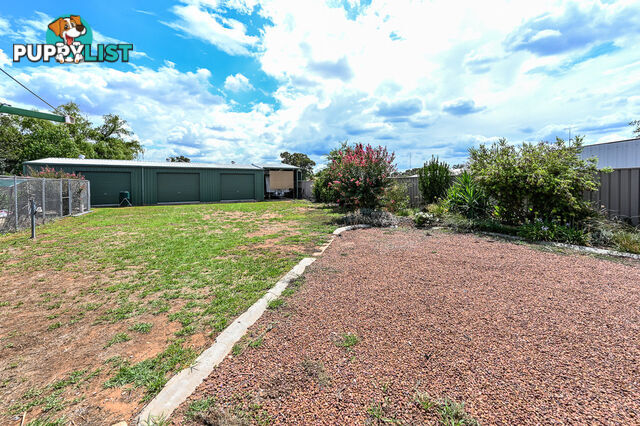 17 Tulipwood Road LEETON NSW 2705