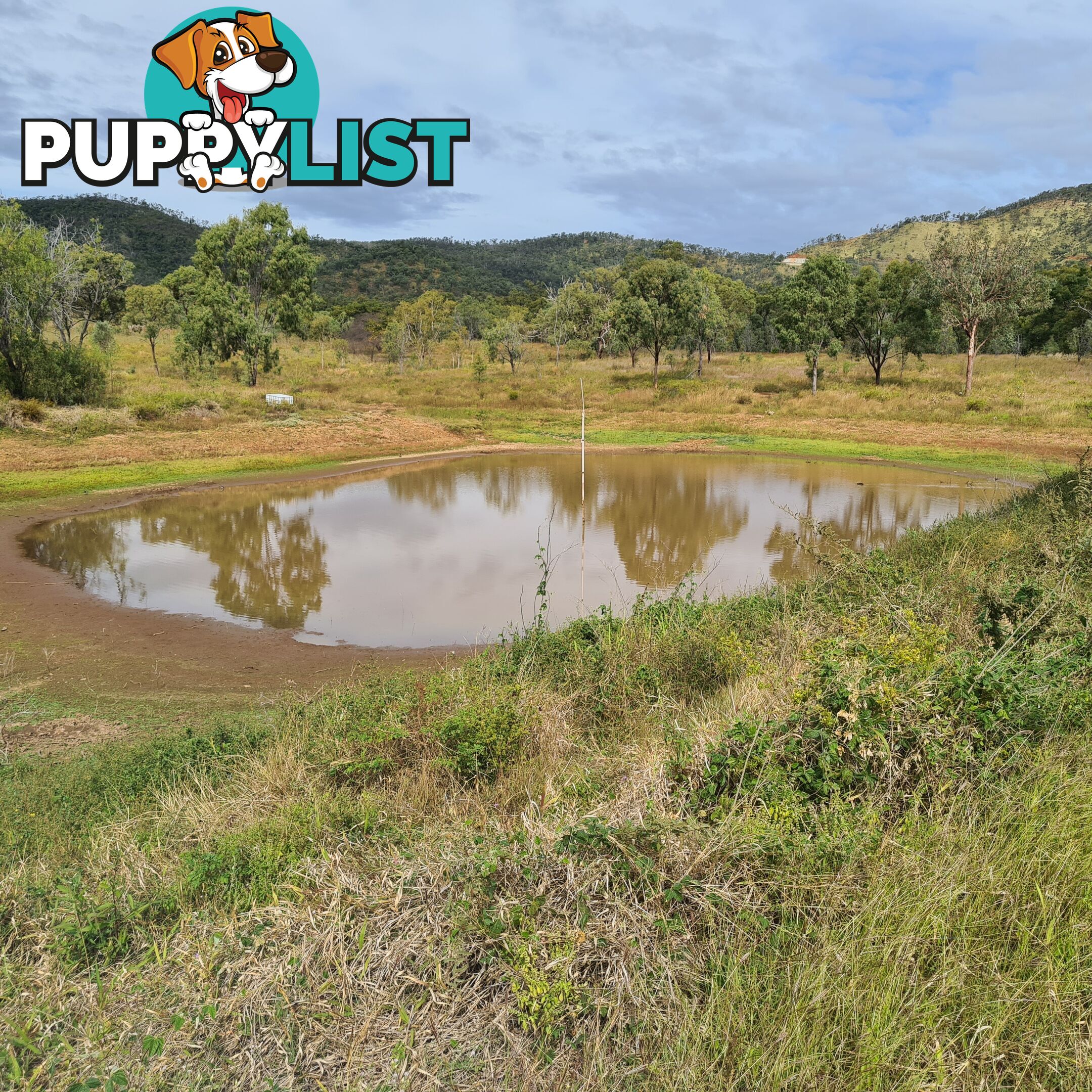 52046 Burnett Hwy Bouldercombe QLD 4702