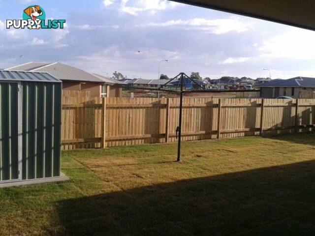 75 Abby Dr Gracemere QLD 4702