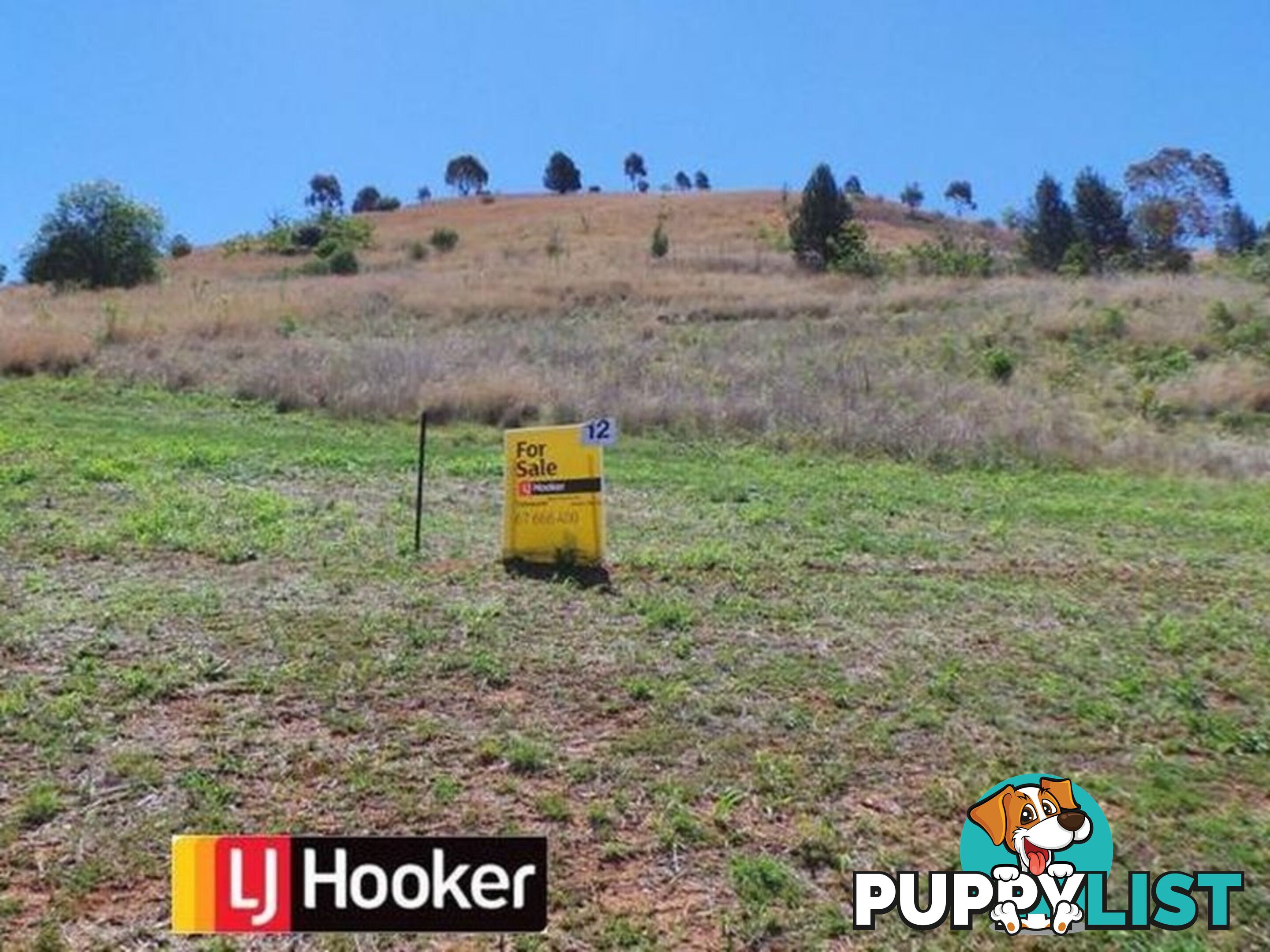 Lot 12/'Bellevue Oliver Street TAMWORTH NSW 2340