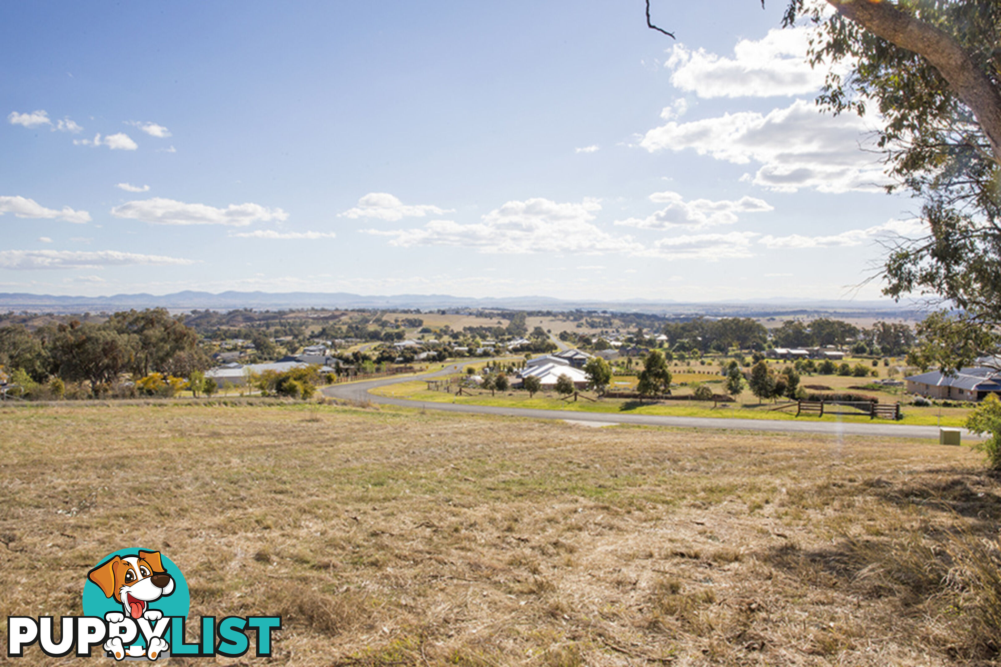 42 Flagstaff Road TAMWORTH NSW 2340