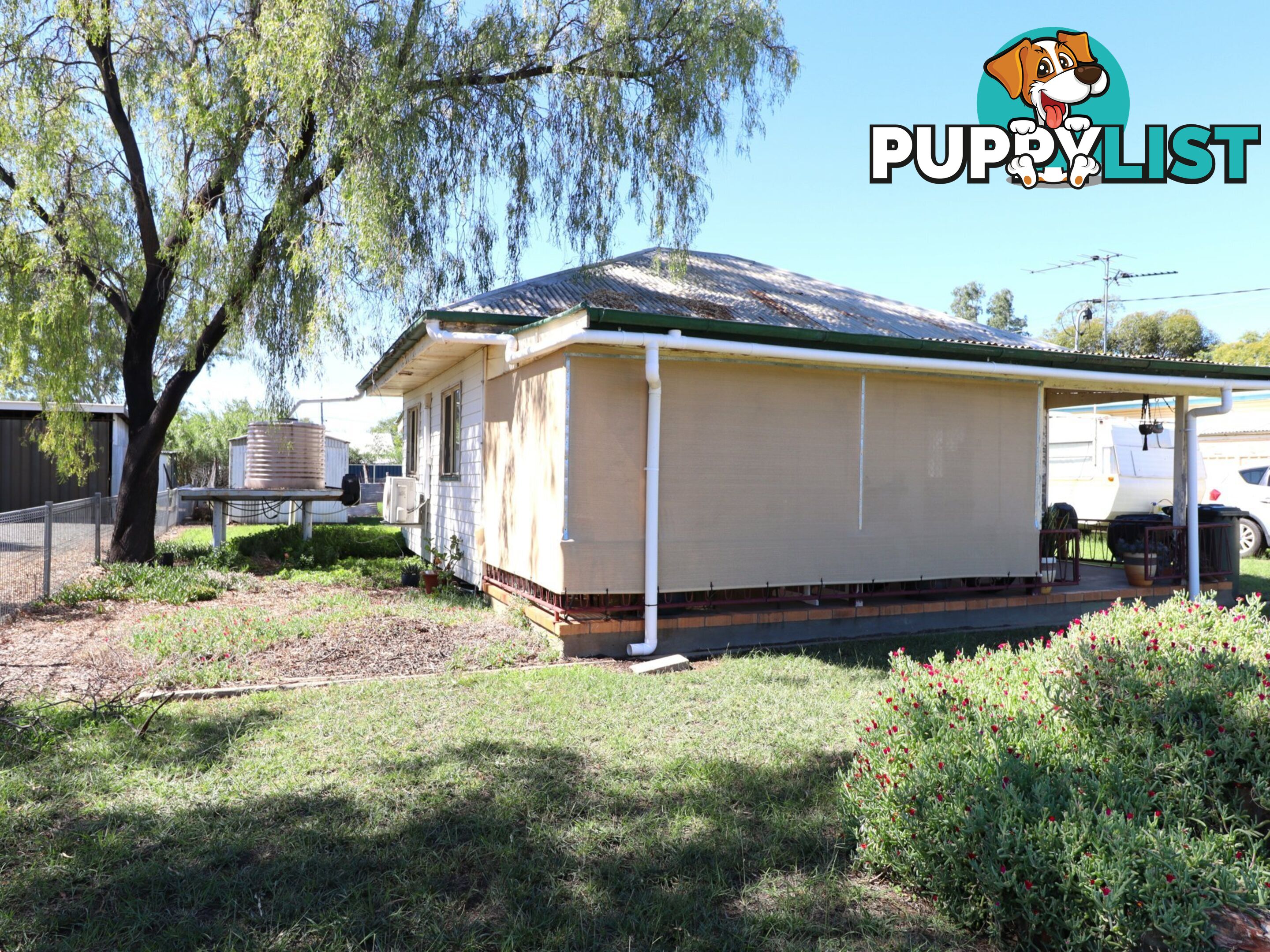 20 Lewis Street ROMA QLD 4455