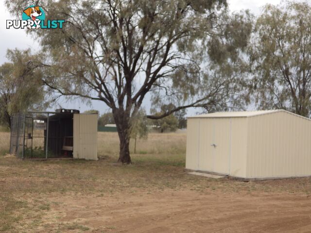 2 Burke Street YULEBA QLD 4427