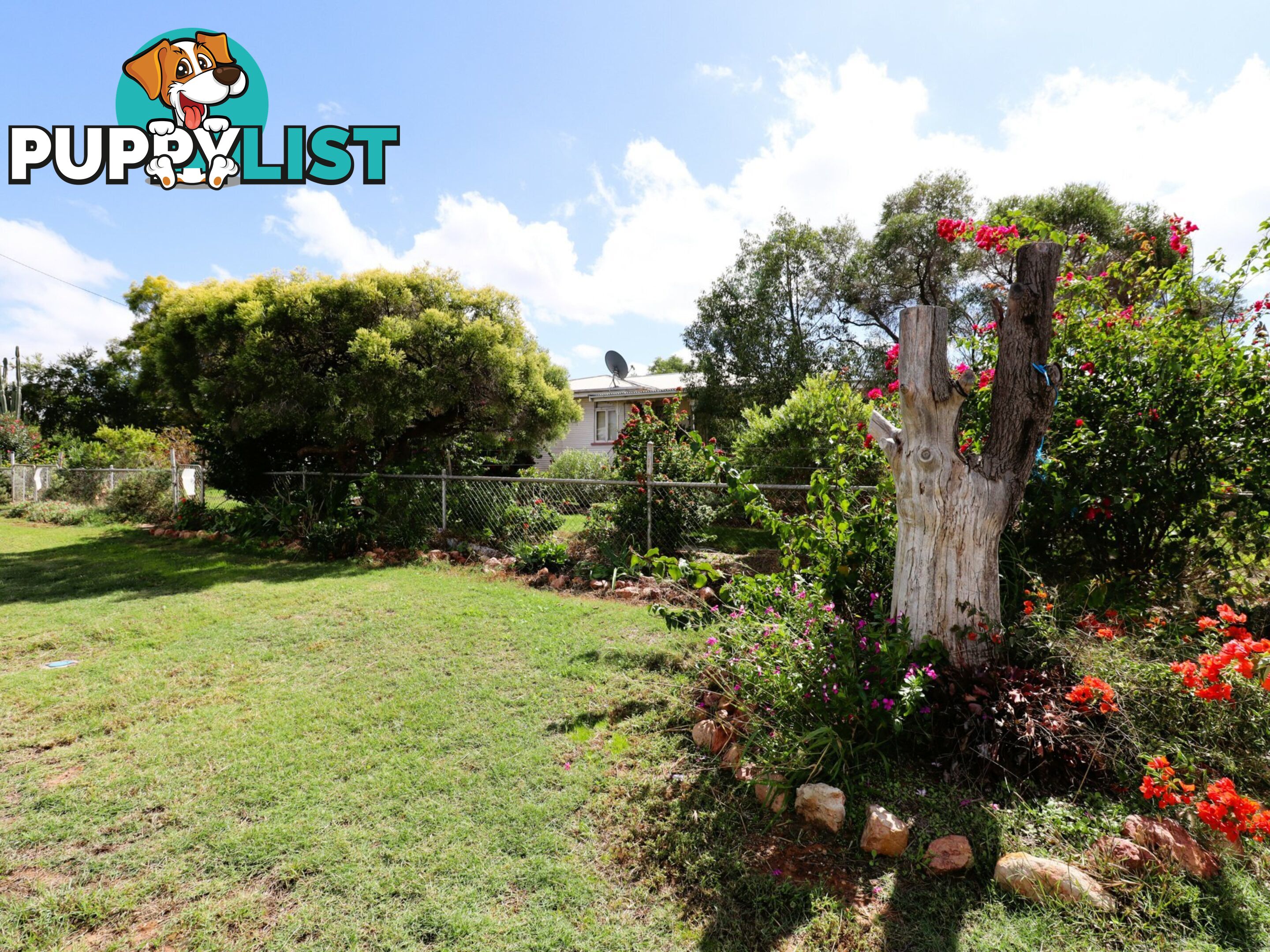 19 Russell Street WALLUMBILLA QLD 4428