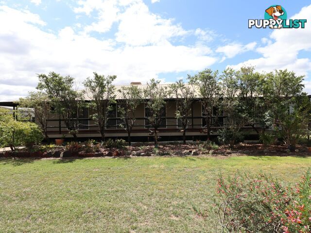 73 - 81 Geoghegan Road ROMA QLD 4455