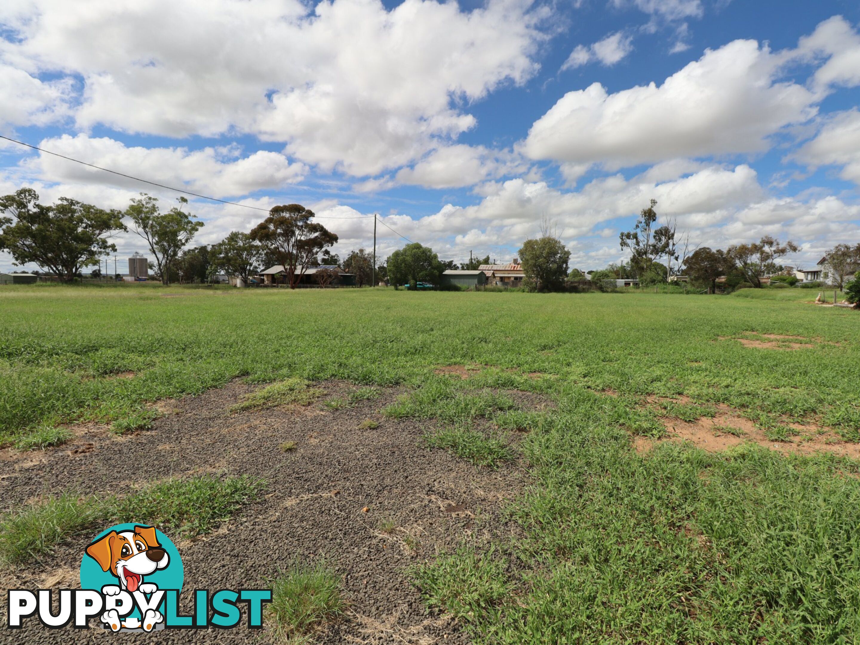 10 Russell Street WALLUMBILLA QLD 4428