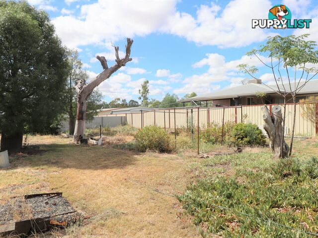 31 Hutton Street INJUNE QLD 4454