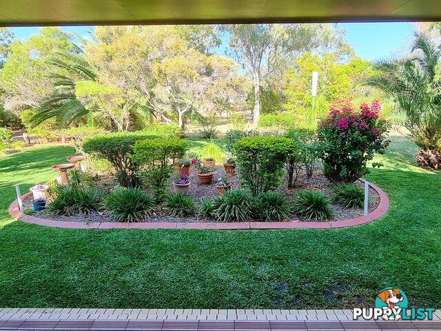 43 Miscamble Street ROMA QLD 4455