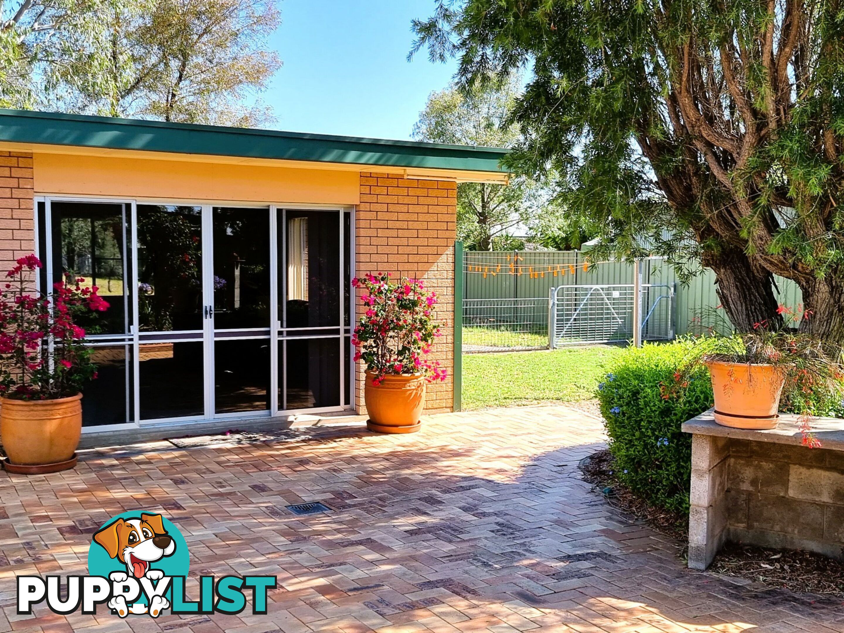 43 Miscamble Street ROMA QLD 4455