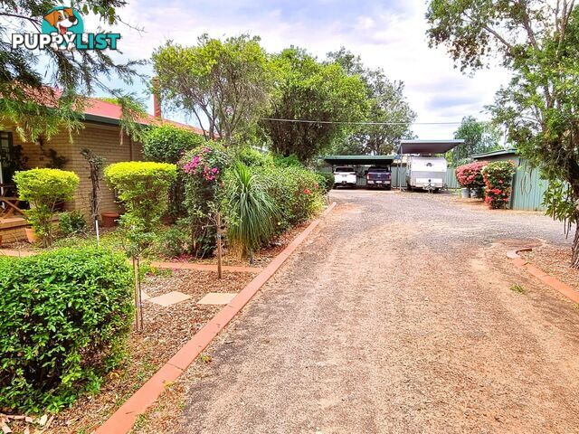 43 Miscamble Street ROMA QLD 4455