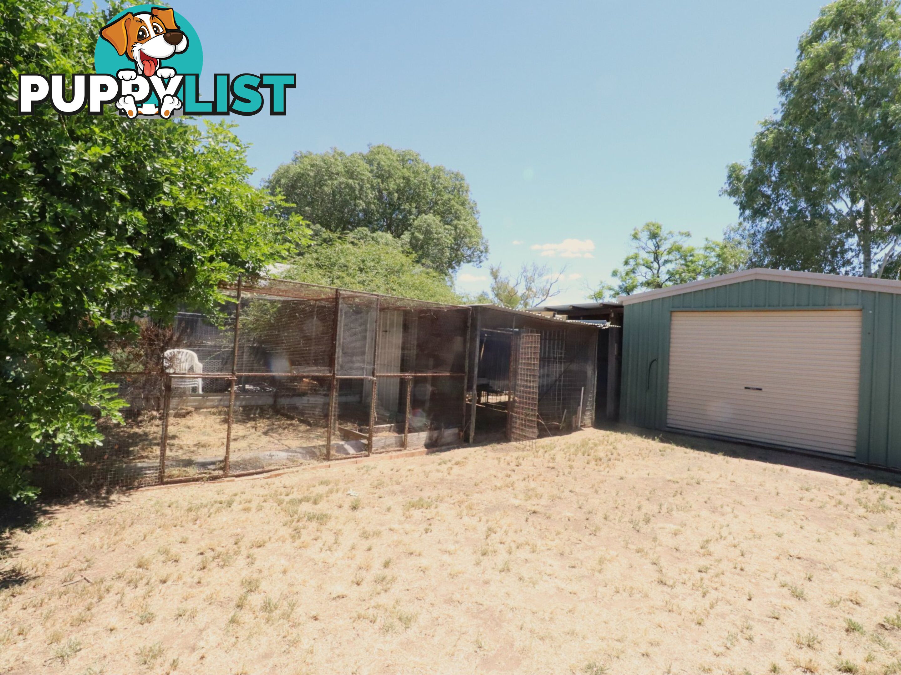 23 Conlan Street ROMA QLD 4455