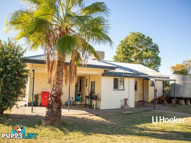 15 Conlan Street ROMA QLD 4455