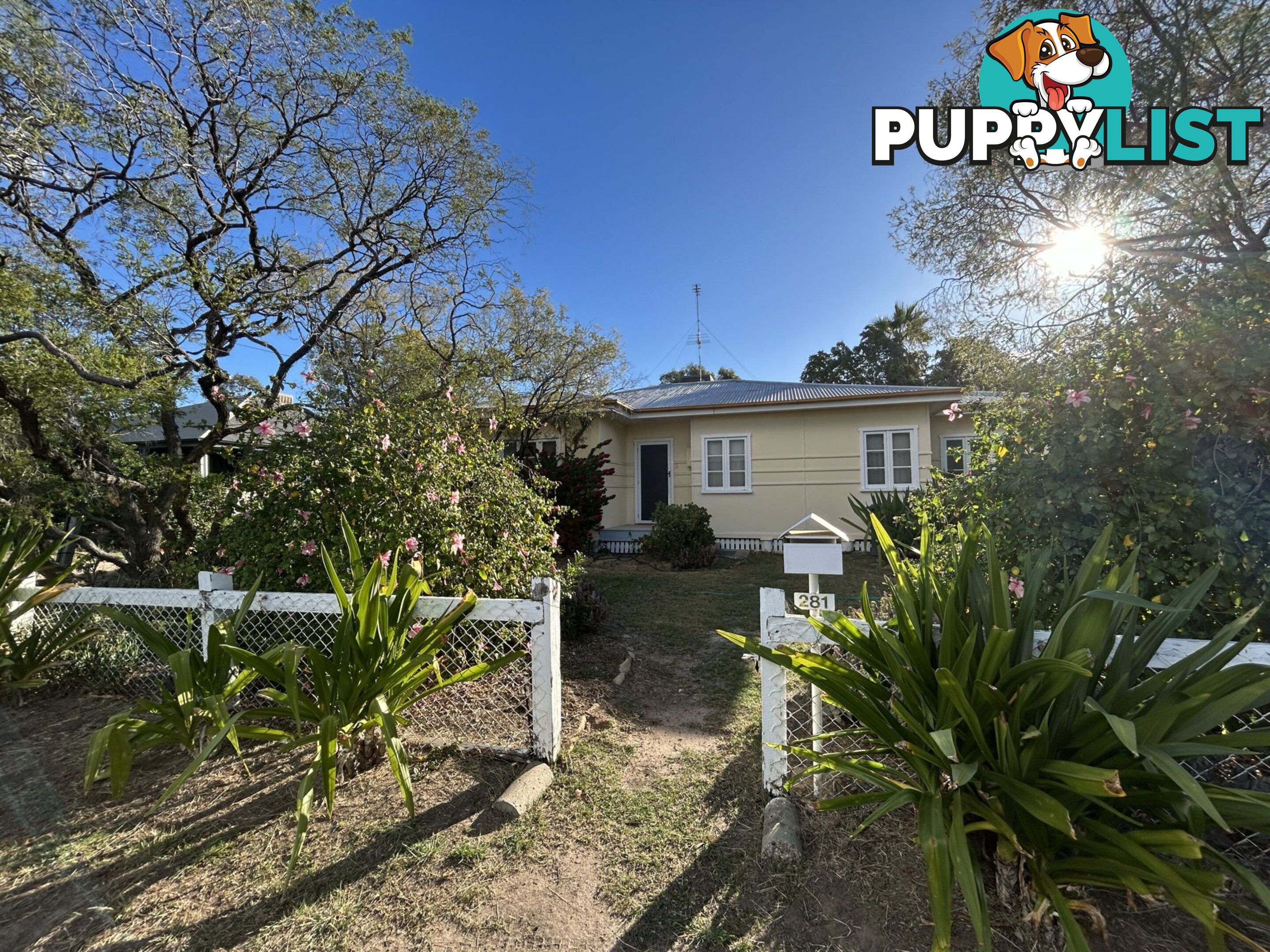 281 Edwardes Street ROMA QLD 4455