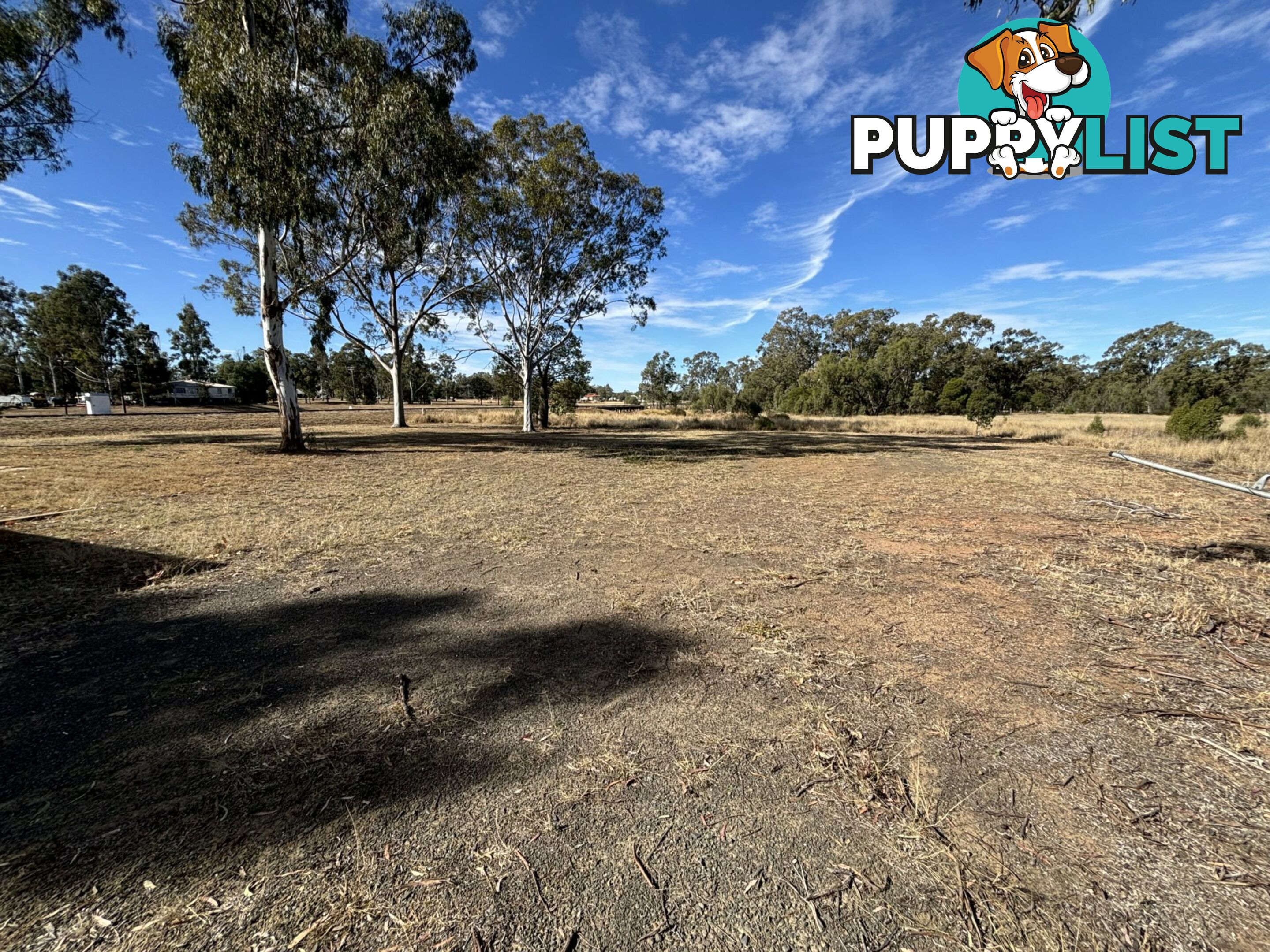 10 Tiffin Street ROMA QLD 4455