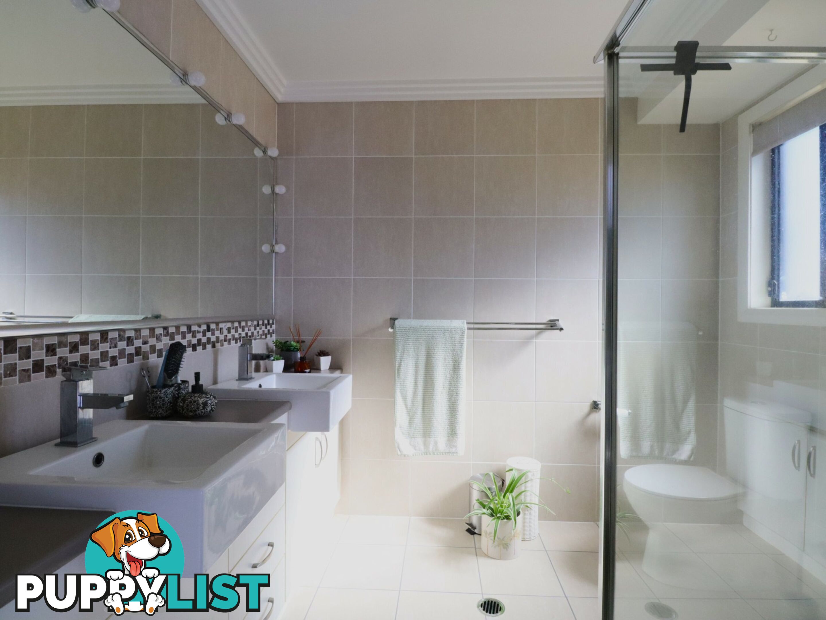 26 Bassett Court ROMA QLD 4455
