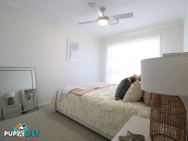 26 Bassett Court ROMA QLD 4455