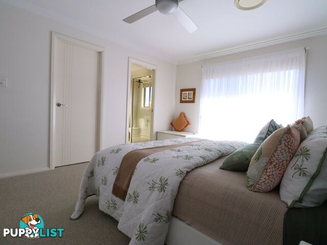 26 Bassett Court ROMA QLD 4455
