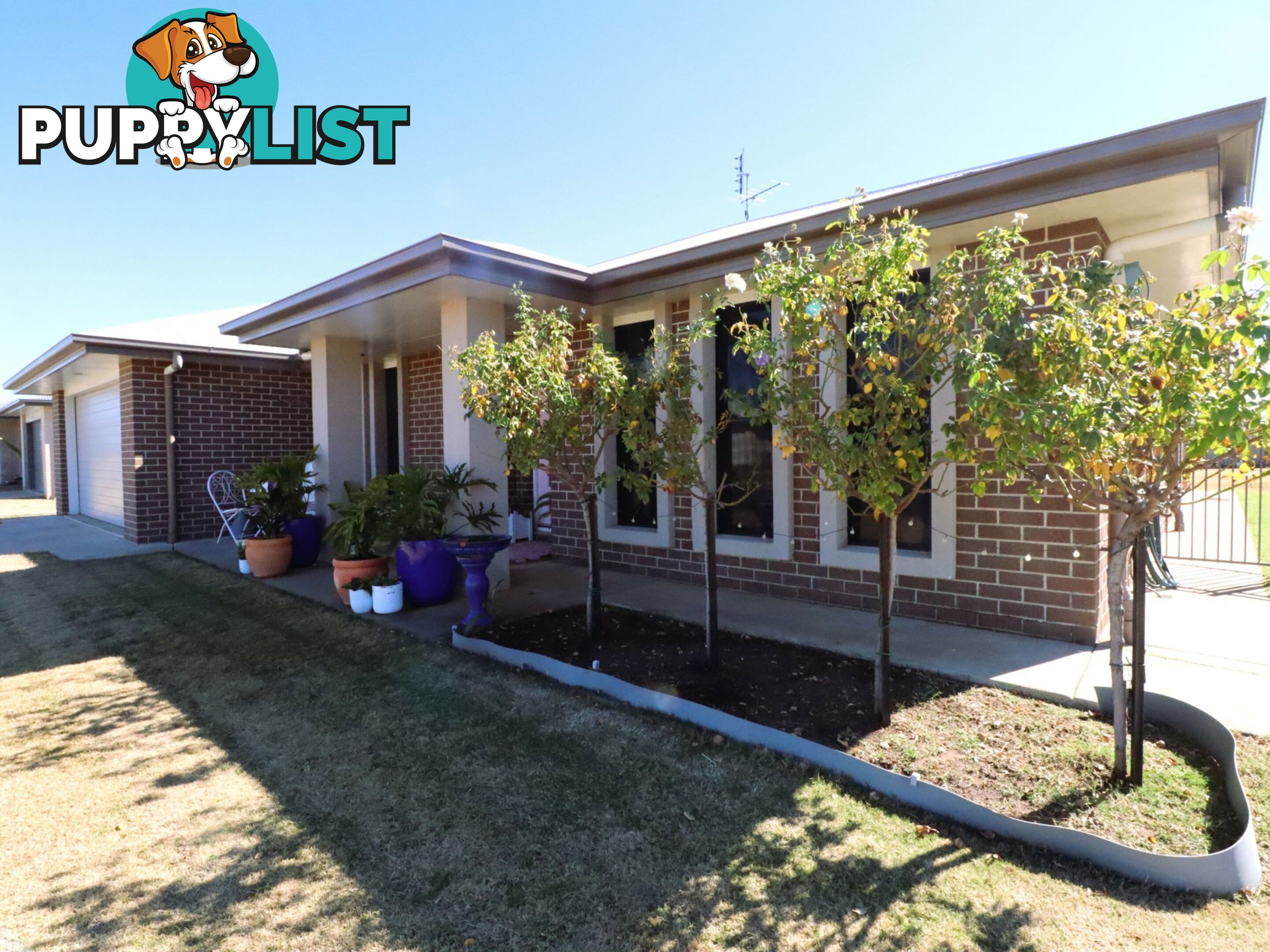 26 Bassett Court ROMA QLD 4455
