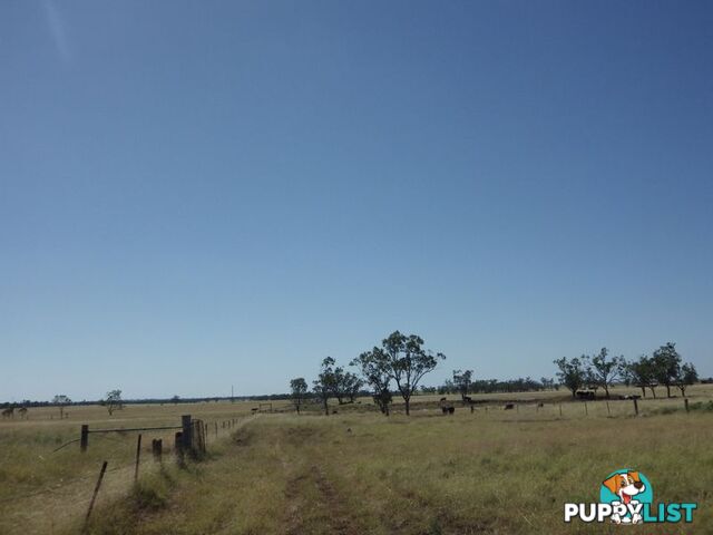 Lot 35 Warrego Highway ROMA QLD 4455