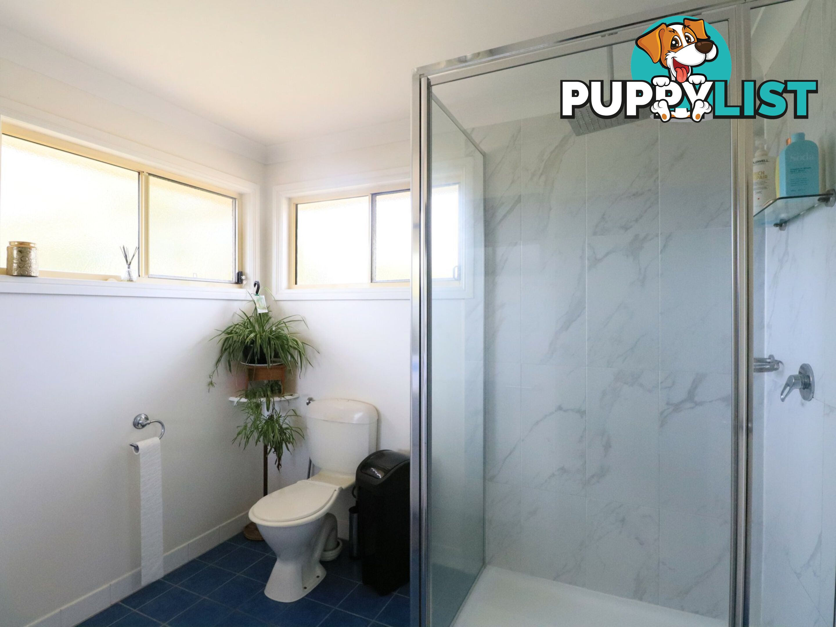 276 Roma Downs Road ROMA QLD 4455