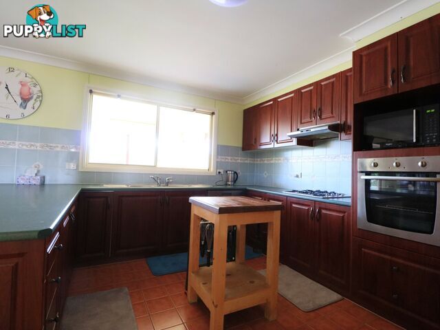 276 Roma Downs Road ROMA QLD 4455