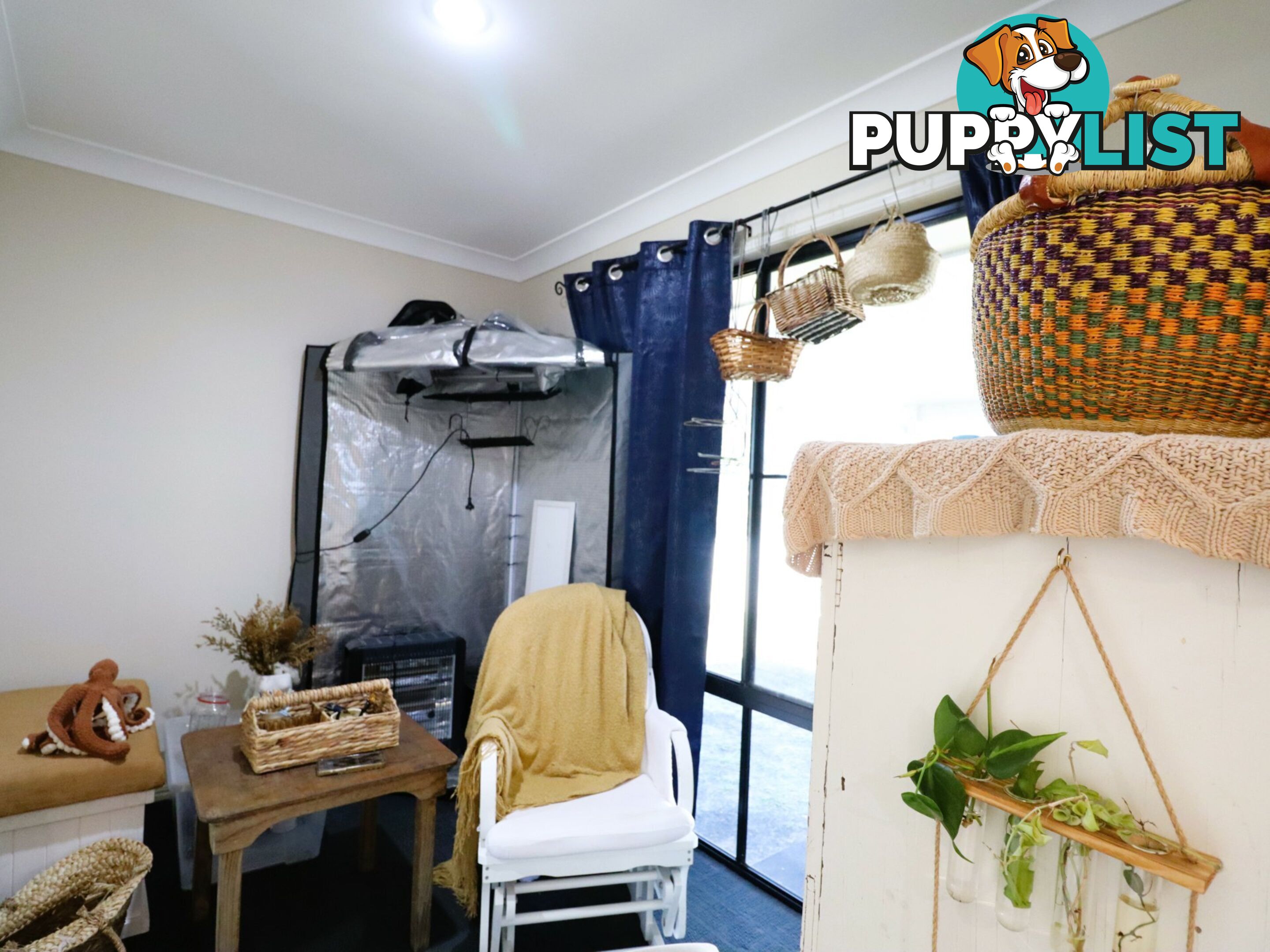 5 Russell Street WALLUMBILLA QLD 4428