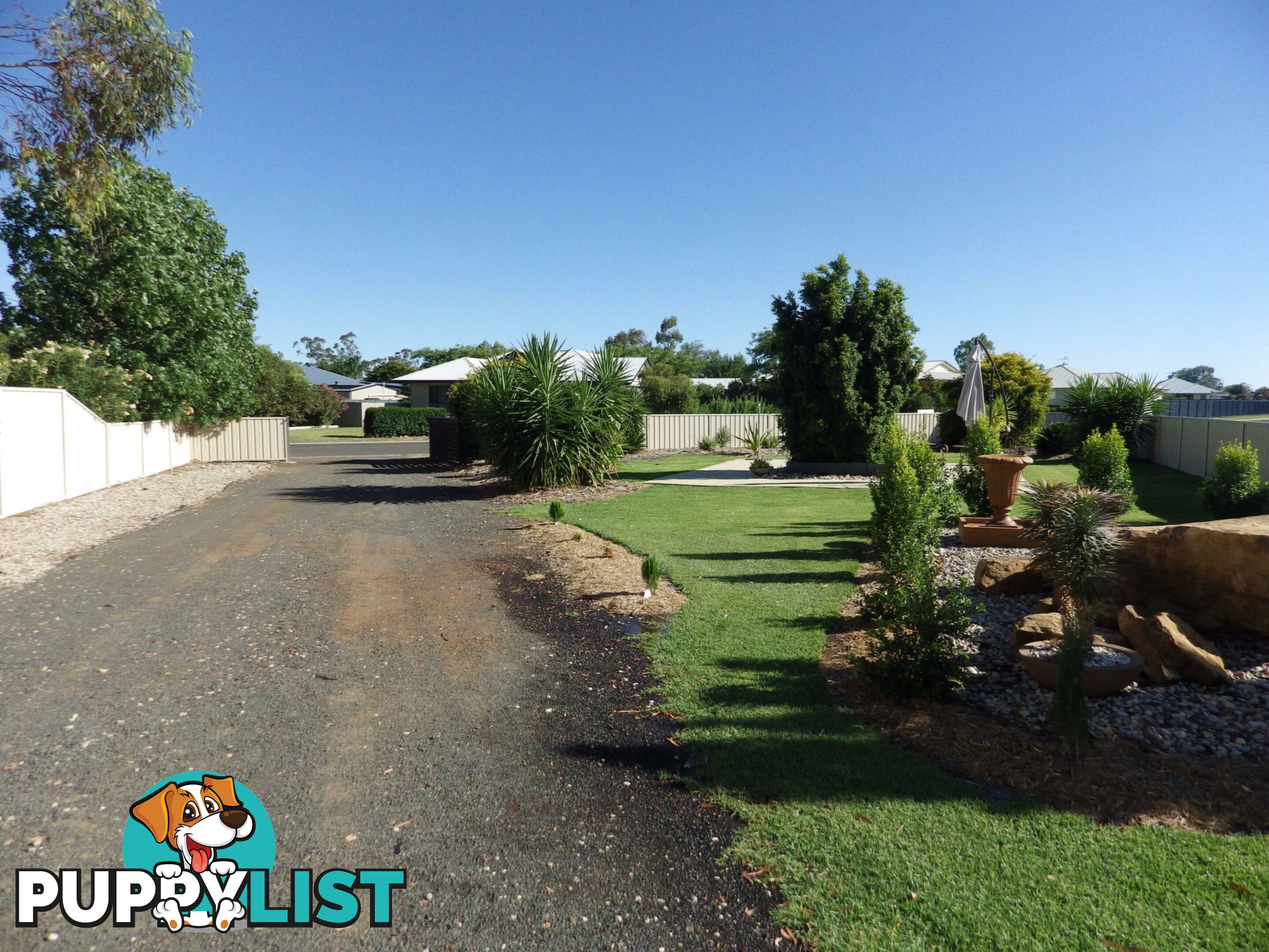 1 Norman Court ROMA QLD 4455