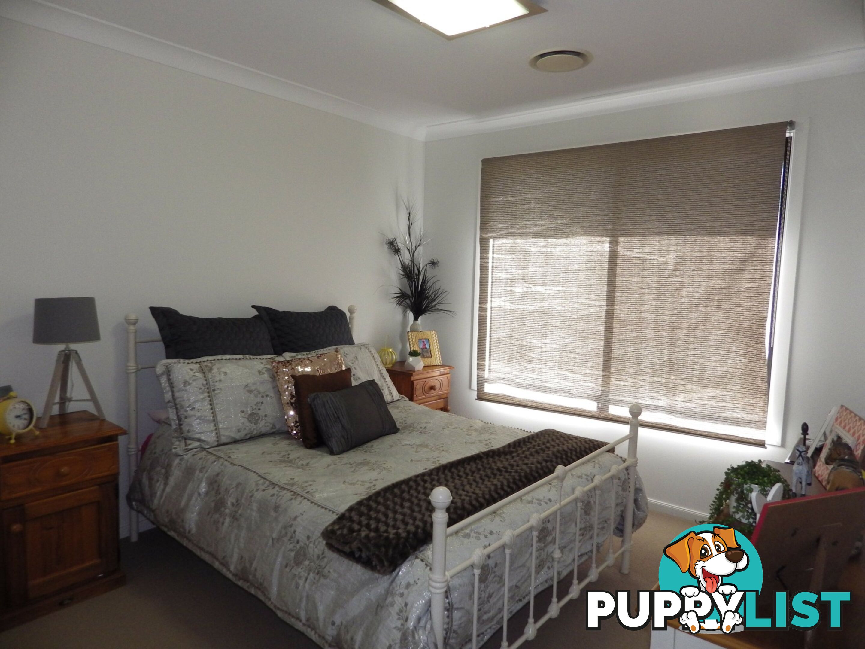 1 Norman Court ROMA QLD 4455