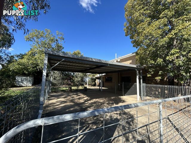 13 Taylor Street ROMA QLD 4455
