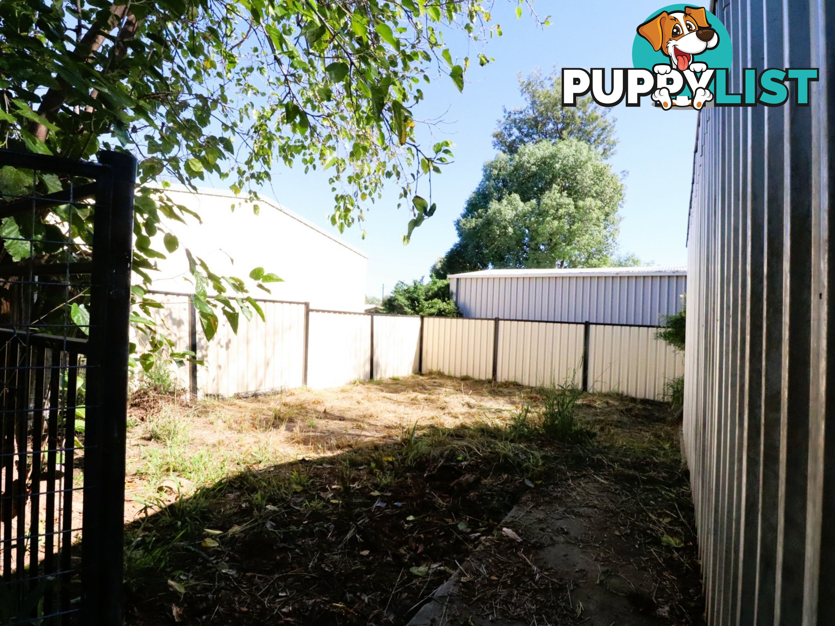 23 Charles Street ROMA QLD 4455