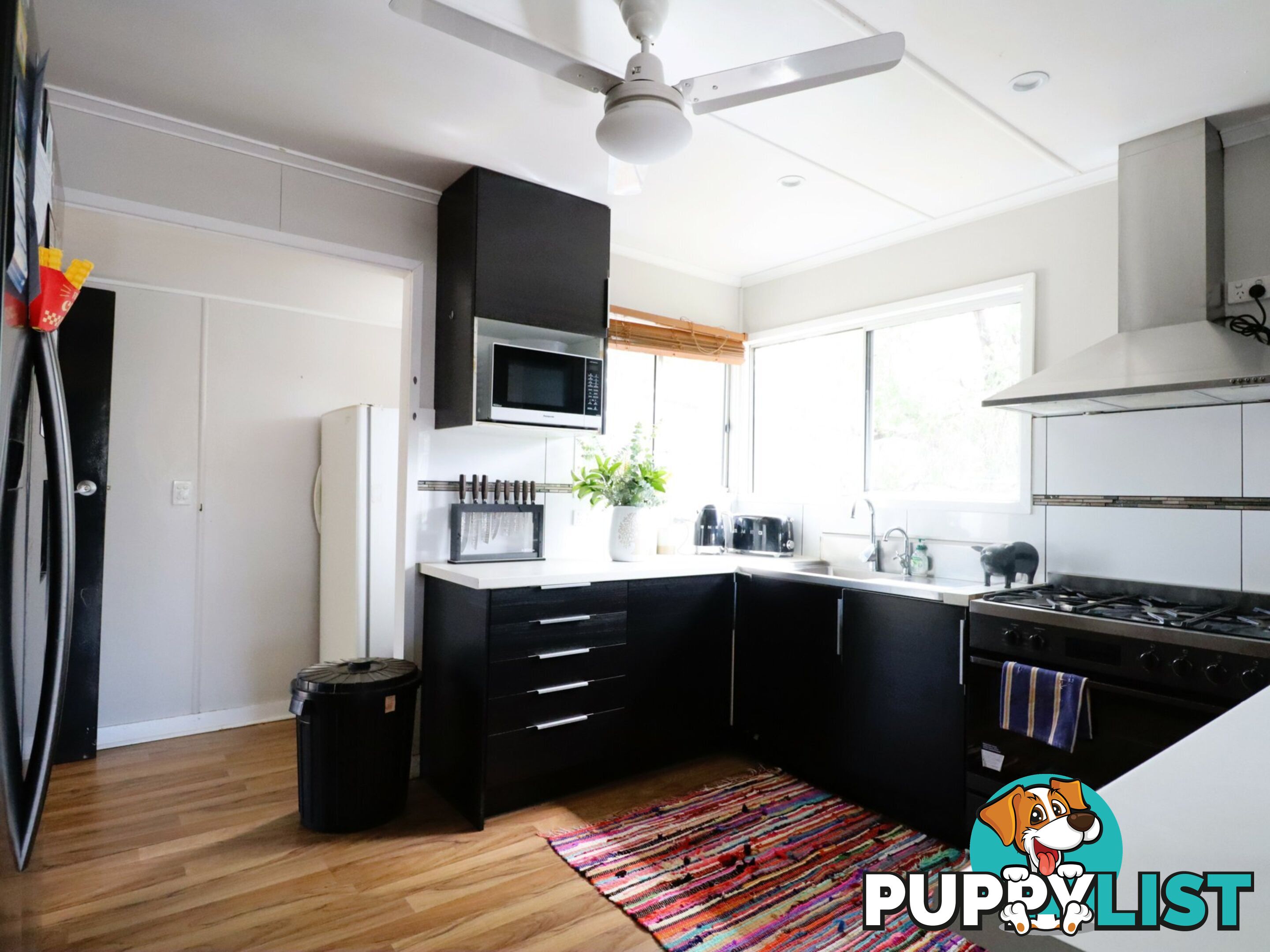 31 Jackson Street ROMA QLD 4455